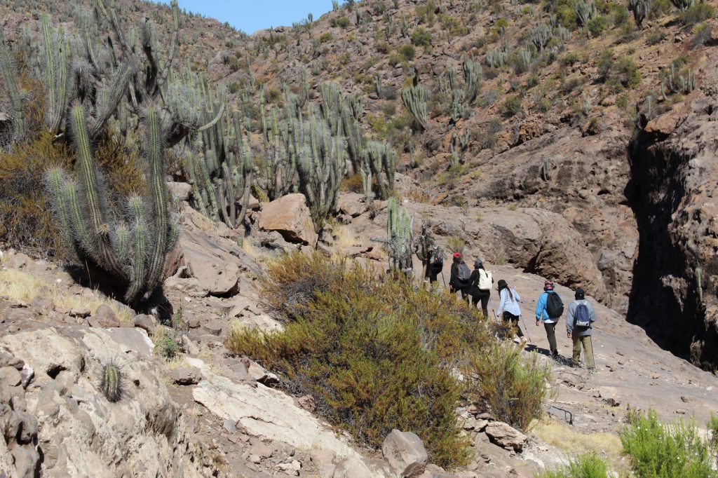 Recorrido guiado por los senderos del valle