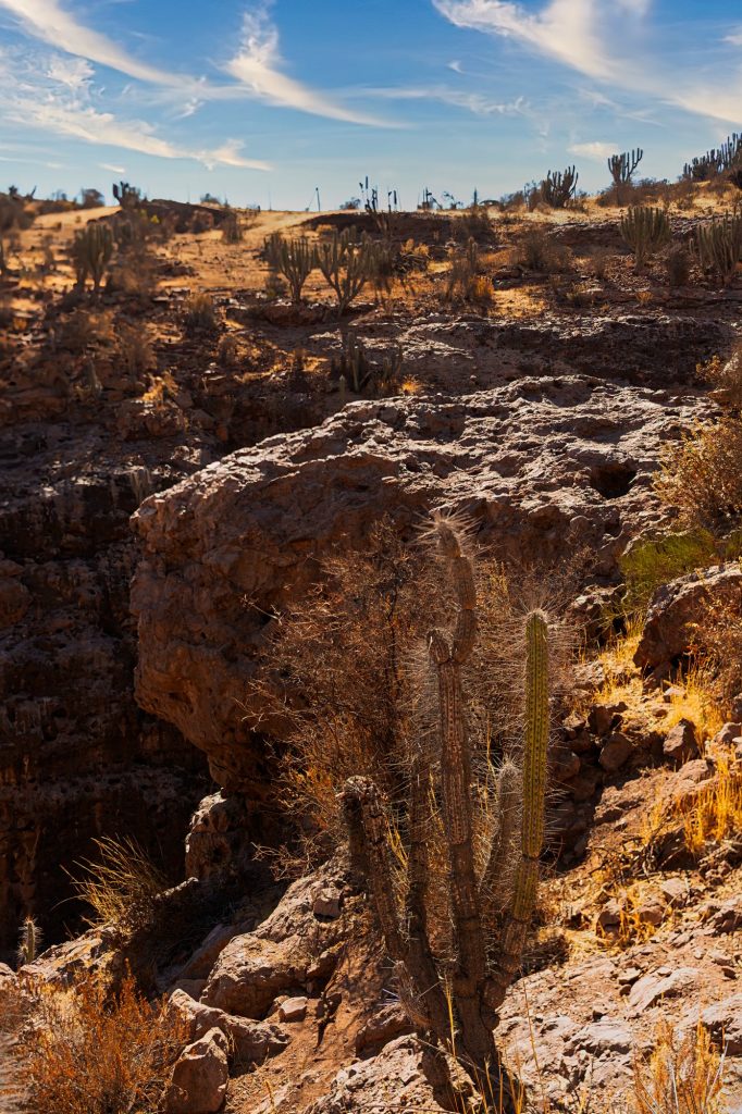 Cactus y cerros del valle de Río Hurtado